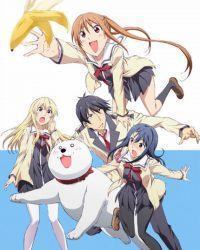 Cô Nàng Ngốc – Aho Girl