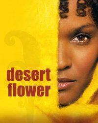 Desert Flower