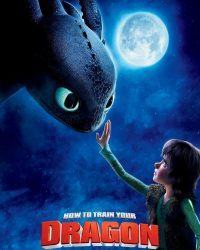 How to Train Your Dragon