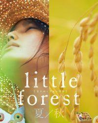 Little Forest: Summer/Autumn