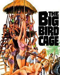 The Big Bird Cage