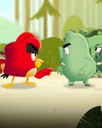 Angry Birds: Quậy Tưng Mùa Hè (Phần 2)